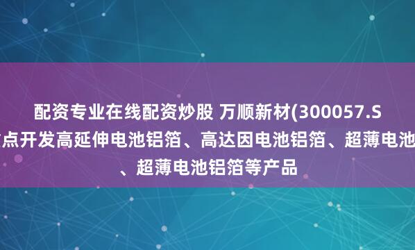 配资专业在线配资炒股 万顺新材(300057.SZ)上半年重点开发高延伸电池铝箔、高达因电池铝箔、超薄电池铝箔等产品